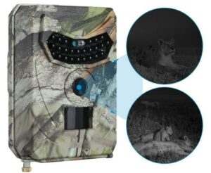 Wildlife Trail Camera