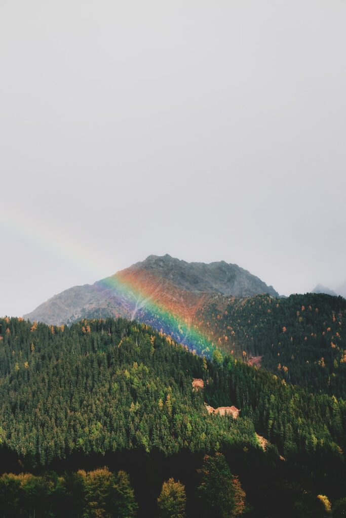 rainbow over green tree covered hill