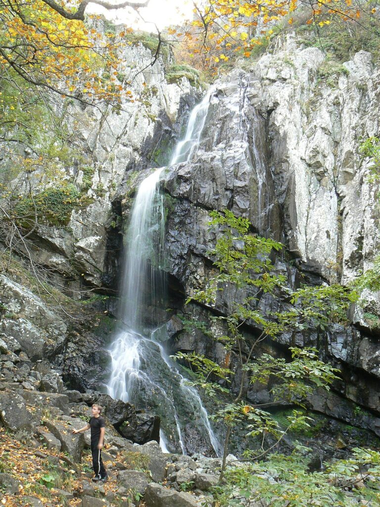 Boyana_waterfall