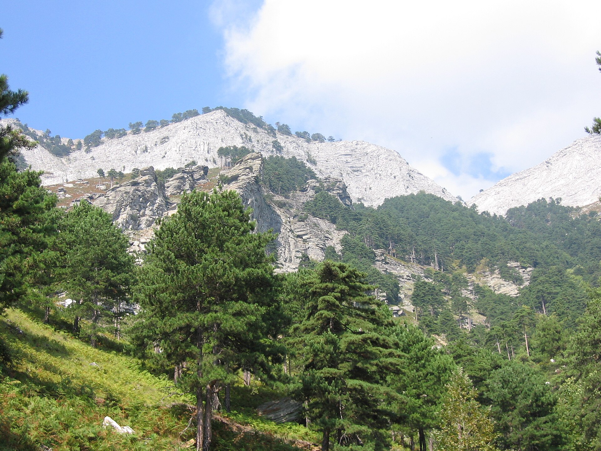 Mount Taygetus