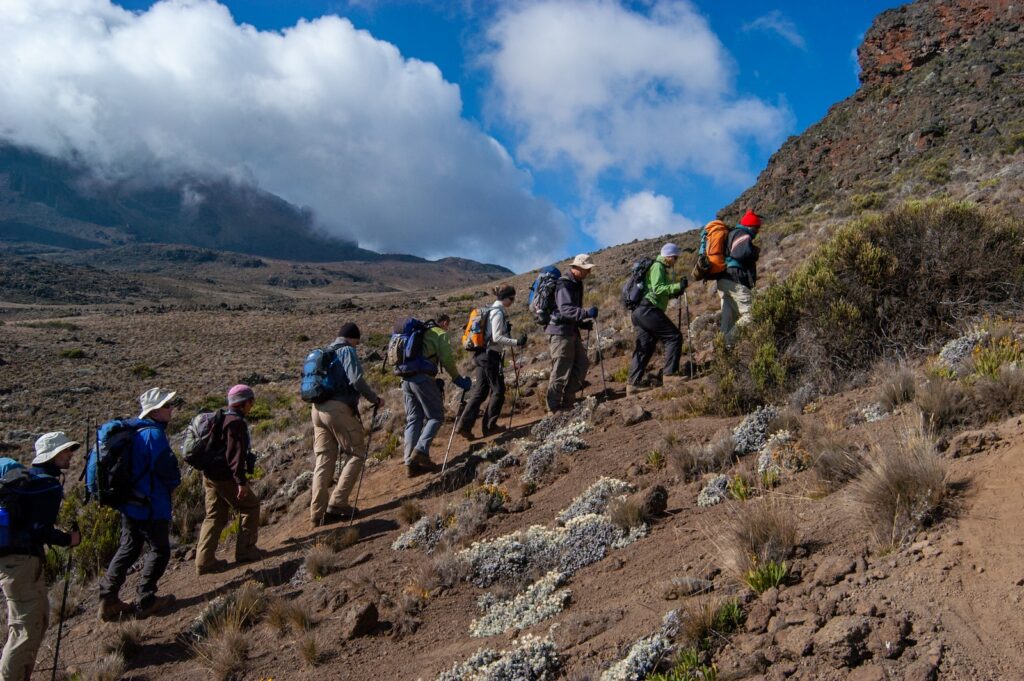 Kilimanjaro people hiking on mountain during daytime