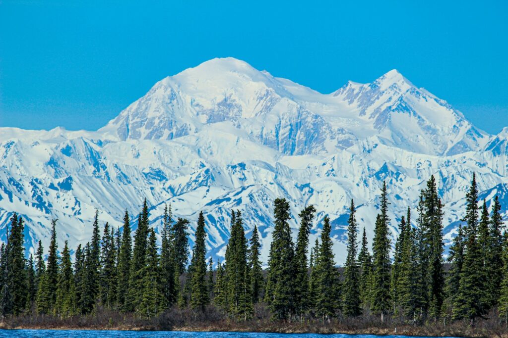 green pine trees near snow covered mountain during daytime