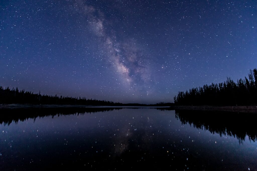 Night Sky silhouette of trees near body of water under sky with stars