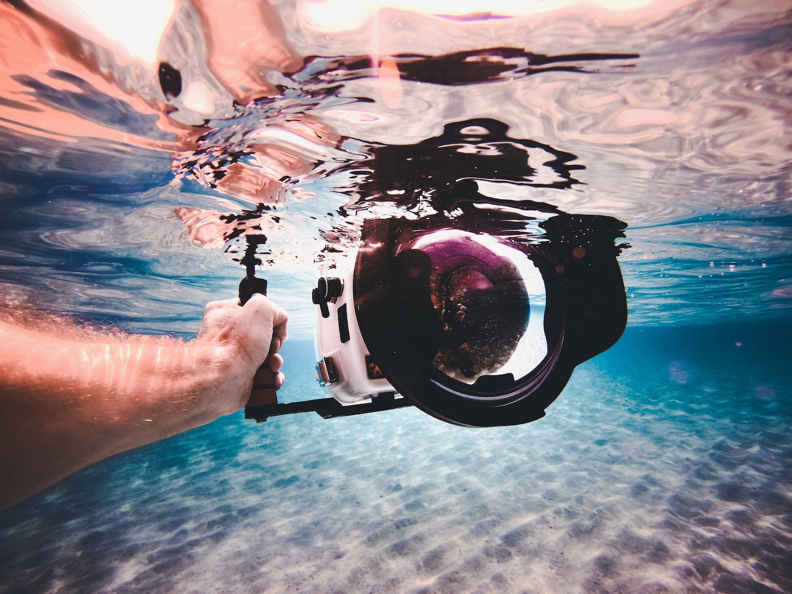 Underwater Cameras person holding white and black underwater camera